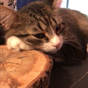 Meet your Posher, Briane